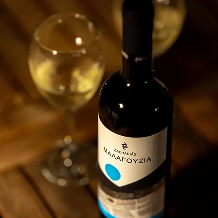 度假居 Blue Vine Mountain Sea View Private Yard Kamári