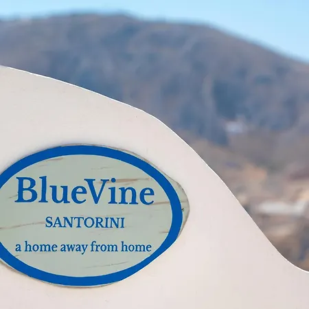 Blue Vine Pool Breakfast Kamári