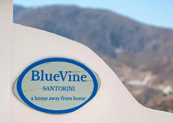 Blue Vine Pool Breakfast Kamári